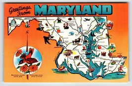 Postcard Greetings From Maryland Map Chrome Oriole Bird Black Eyed Susan Flower - $7.65