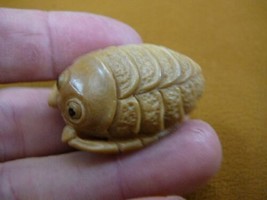 (tb-trilo-3) baby tan trilobite Tagua NUT palm figurine Bali carving tri... - £39.23 GBP