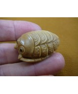 (tb-trilo-3) baby tan trilobite Tagua NUT palm figurine Bali carving tri... - £38.48 GBP