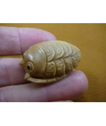 (tb-trilo-3) baby tan trilobite Tagua NUT palm figurine Bali carving tri... - $49.08
