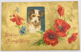 1900&#39;s Embossed Brown &amp; White Dog Christmas Gold Background Postcard Floral - £8.17 GBP
