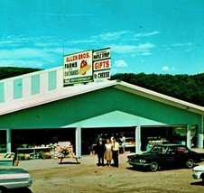 Allen Bros Farm Market CIder Mill Bellows Falls Vermont UNP Chrome Postcard T10 - £4.07 GBP