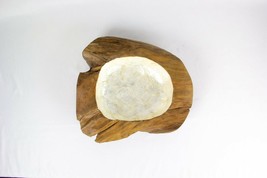 NEW Sea Shell Lined Teak Bowl, Size: 16&#39;&#39; L x 16&#39;&#39; W x 6&#39;&#39; D, High-End Product - £44.00 GBP