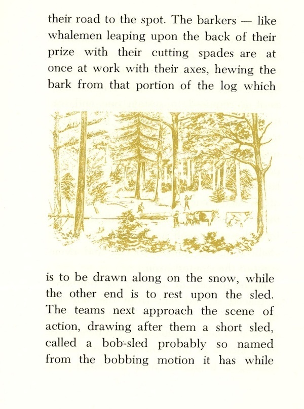 A Selection Forest Life Forest Trees Springer book NH Publishing gift 1970 Item image 2
