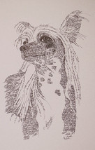 Chinese Crested Dog Art Portrait Print #31 Kline Adds Dog Name Free Word Drawing - £39.92 GBP