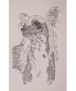 CHINESE CRESTED Dog Art Portrait Print #31 Kline adds dog name free WORD... - £40.02 GBP