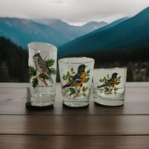 Vintage West Virginia Drinking Glasses American Songbird Gold Rim 3 Sizes - $45.05 CAD