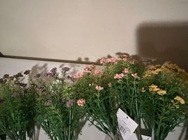 Lot of 7 new flower stems in different colors image 2
