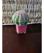 Pier 1 Pink Cactus Plant-Brand New-SHIPS N 24 HOURS - $40.49 CAD