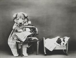 Making Baby&#39;s Clothes - Dog Puppy Sewing Machine - 1914 - Photo Poster - $32.99