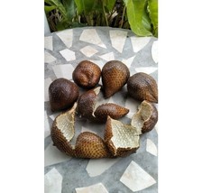 Kulit Salak Pondoh Kering (Salacca edulis Dried) - $14.71