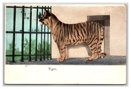 Bengal Tiger in Cage UNP UDB Postcard S25 - £2.29 GBP