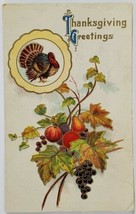 Thanksgiving Greetings Turkey Fall Foliage Fruit c1915 Postcard T14 - £2.35 GBP