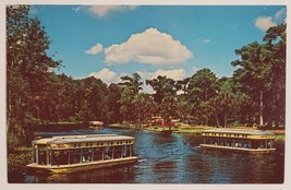 Glass Bottom Boats Silver Springs Florida Chrome Postcard - £8.55 GBP