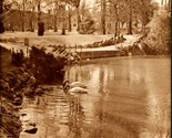 RPPC Swans on Pond Wrights Park Tacoma Washington WA UNP Postcard T15 - £8.19 GBP