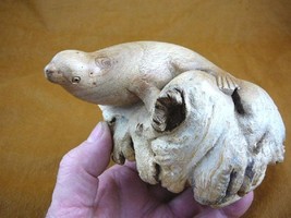 (q116-t) coastal Seal PARASITE WOOD carving FIGURINE love little baby se... - £39.23 GBP