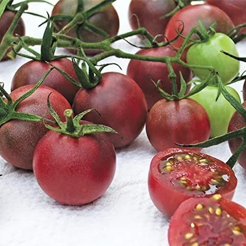 Fresh 40 Chocolate Cherry Tomato Seeds For Planting Garden - £15.71 GBP