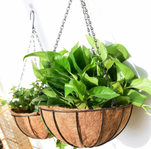 Round Metal Hanging Basket with Natural Coconut Liner - $378.23 MXN