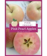 Pink Pearl Apple tree grafted 5x5x12 inches pot size 1 year old - $1,460.55 MXN