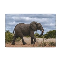 Majestic African Elephant Art Majestic African Elephant Print Animal Wall Art W - £57.12 GBP+