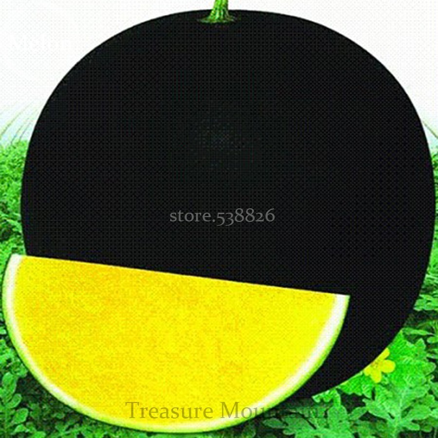 Hot Sale Black Skin Round Shape Yellow Meat Seedless Watermelon Seeds Garden Fre