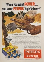 1955 Print Ad Peters High Velocity Shotgun Shells Hunter Wild Turkey Hunting  - £14.86 GBP