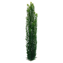 Pondh2o Artificial Jumbo Large Pond or Aquarium Plant 39 Inches Tall (10... - £31.25 GBP
