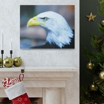 Bald Eagle Close Up Canvas - £55.95 GBP