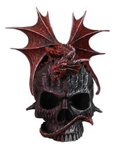 Infection Virus Zombie Skull With Red Wyvern Dragon Decorative Box Figurine - £45.54 GBP