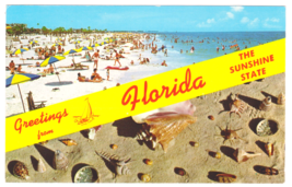 Vtg Postcard-Greetings From Florida-The Sunshine State-Beach Shells-Chro... - $4.00