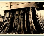 RPPC Cedar Stump House Everett Washington WA UNP AZO Postcard Kensey Pho... - £31.28 GBP