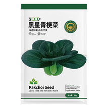 1 Bag (10 Grams Seeds) Black Star Pak Choi Seeds - £8.60 GBP