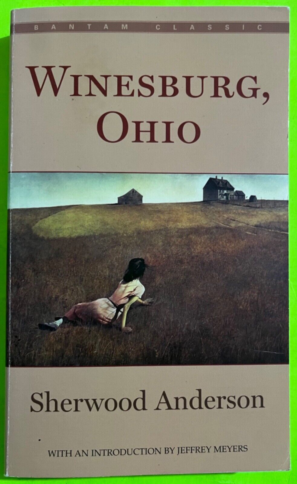 Winesburg, Ohio by Sherwood Anderson (PB 2008) - $4.42