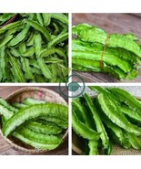6 Seeds Winged Bean - $258.65 MXN