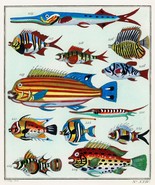 13230.Decor Poster.Home wall.Room vintage art design.Colorful fish illus... - $23.46 CAD+