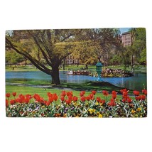 Postcard Swan Boat And the Famous Boston Public Gardens Massachusetts Chrome - £5.38 GBP