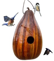 BROWN &amp; TAN PSYCHEDELIC STRIPED BIRDHOUSE - Amish Hand Mottled Gourd Bir... - $53.99