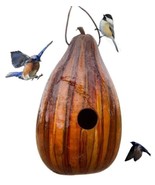 BROWN &amp; TAN PSYCHEDELIC STRIPED BIRDHOUSE - Amish Hand Mottled Gourd Bir... - $73.49 CAD