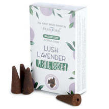 Backflow Incense Cones - Lush Lavender - $3.50
