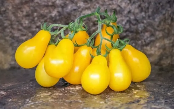 Beam&#39;S Yellow Pear 12 Seeds Domestic Fresh Garden - £6.24 GBP