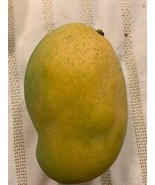 MBK 1 Seed Francis Mango Fruit Bulk Seeds - $240.53 MXN