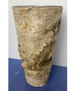 Birch Vase with Zinc Interior Flower Floral Table Top Accent Decor 9 inch - £10.27 GBP