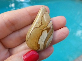 Dendritic Picture Jasper Large Teardrop African Queen 44x24 mm Cabochon Gemstone - £28.71 GBP