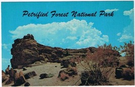 Postcard Old Faithful Petrified Forest National Park Arizona - $3.95