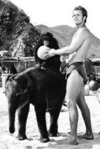 Ron Ely Tarzan 11x17 Mini Poster chimp baby elephant - £10.21 GBP