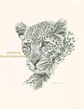 # 96 LEOPARD portrait * wildlife  art print * pen &amp; ink drawing by Jan J... - $12.38