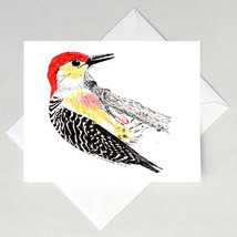 Red-bellied Woodpecker Note Cards - £3.19 GBP+