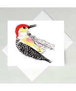 Red-bellied Woodpecker Note Cards - £3.19 GBP+