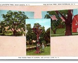 Multiview Famous Trees Geneva Waterloo Aurora New York NY UNP WB Postcar... - $6.88