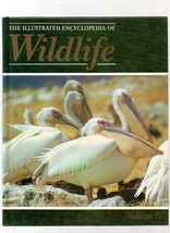 THE ILLUSTRATED ENCYCLOPEDIA OF WILDLIFE VOLUME 17 BIRDS - £3.08 GBP